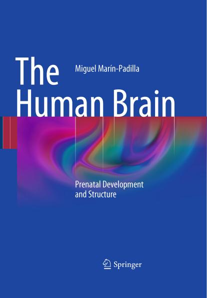 The Human Brain: Prenatal Development and Structure by Miguel Marín-Padilla (auth.)