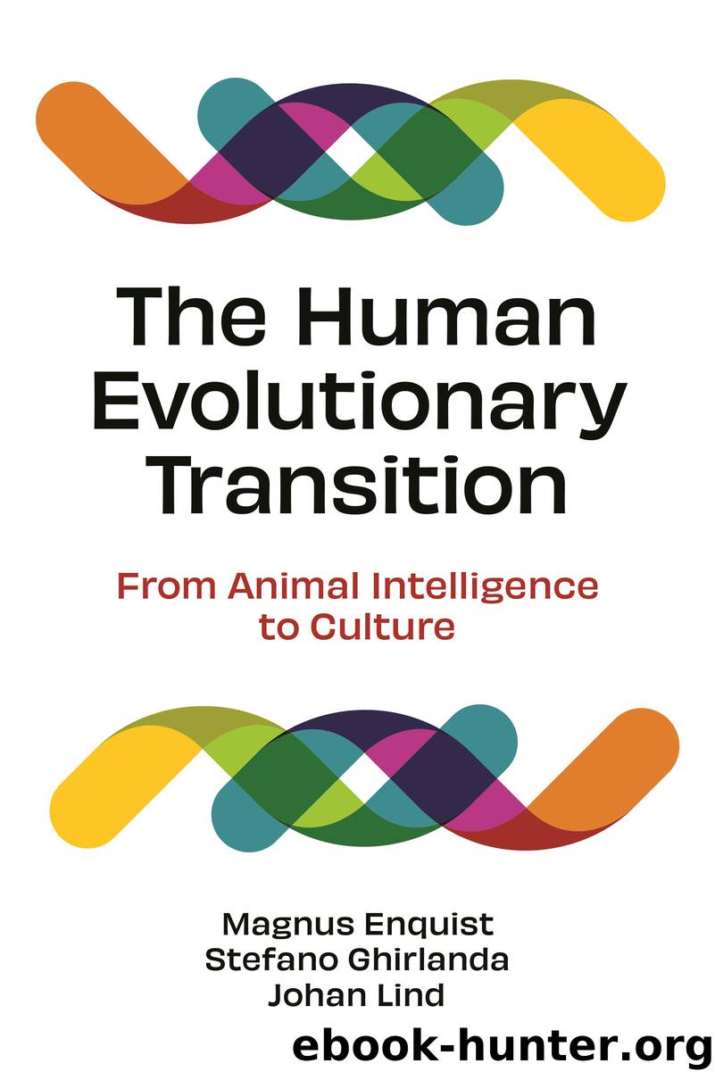 The Human Evolutionary Transition by Magnus Enquist;Stefano Ghirlanda;Johan Lind;