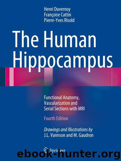 The Human Hippocampus by Henri Duvernoy Françoise Cattin & Pierre-Yves Risold