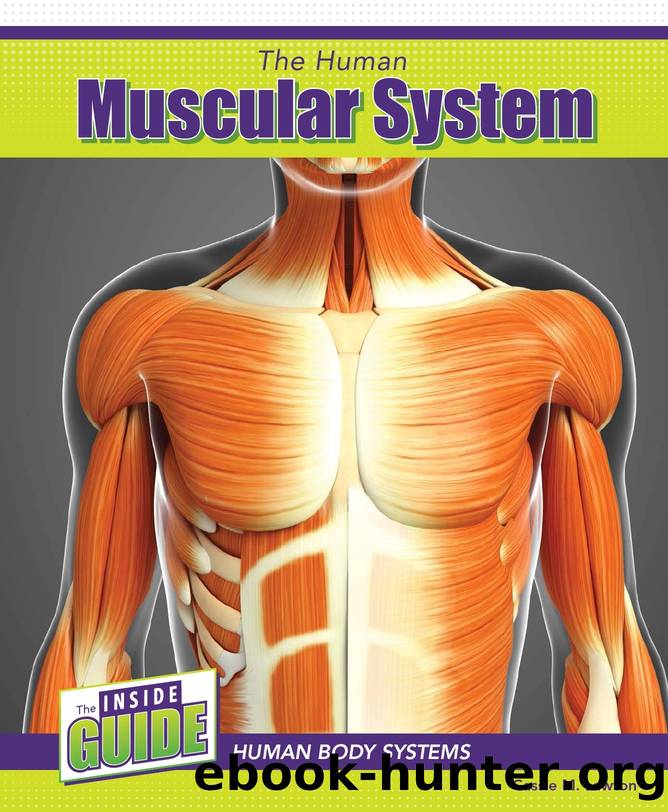 The Human Muscular System by Cassie M. Lawton