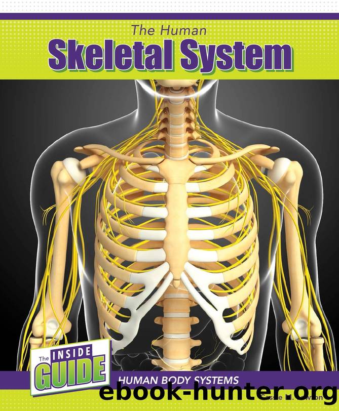 The Human Skeletal System by Cassie M. Lawton