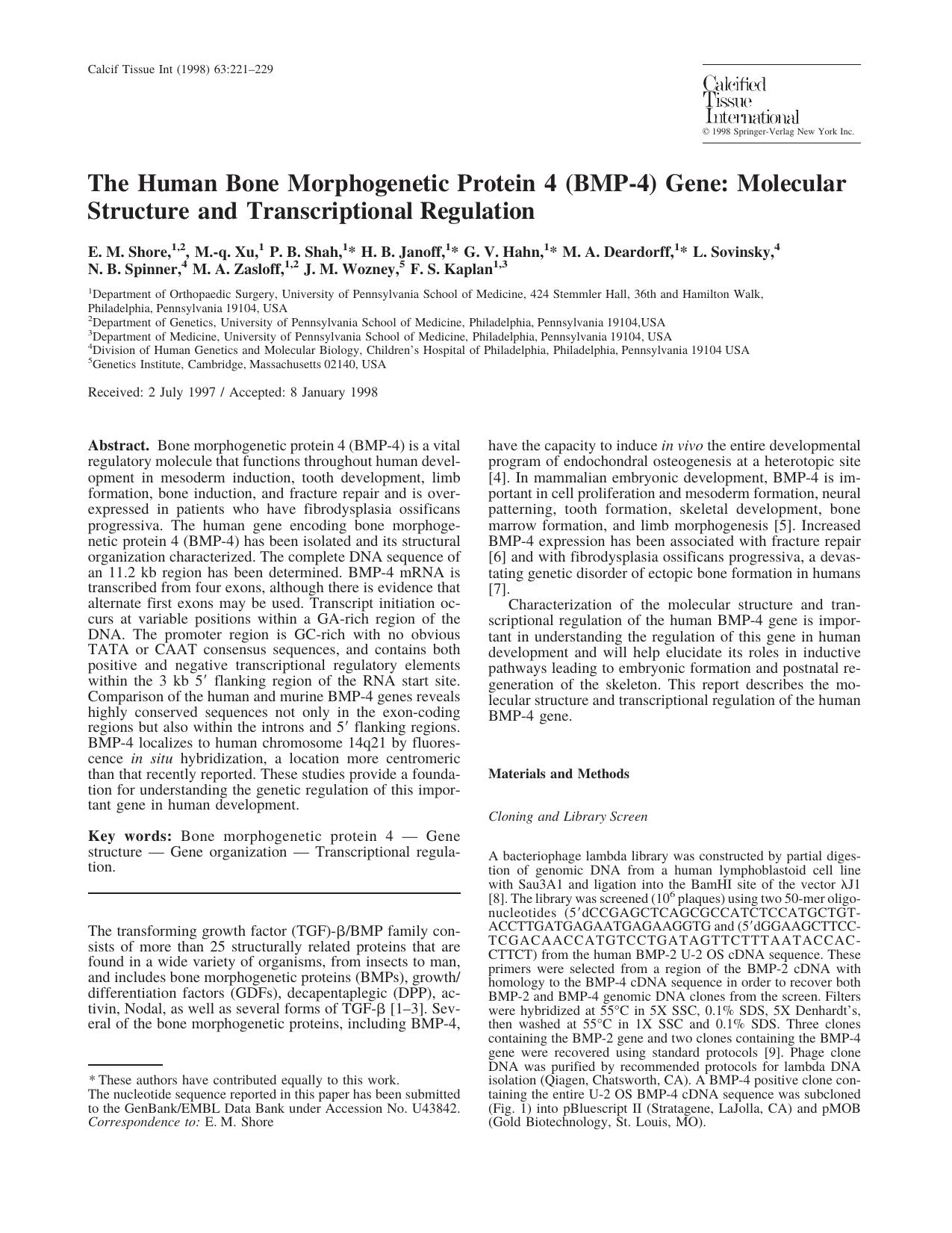 The Human bone Morphogenetic Protein 4 (BMP-4) Gene: Molecular Structure and Transcriptional Regulation by Shore E. et al