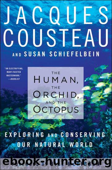 The Human, the Orchid, and the Octopus by Susan Schiefelbein