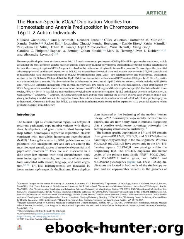 The Human-Specific BOLA2 Duplication Modifies Iron Homeostasis and Anemia Predisposition in Chromosome 16p11.2 Autism Individuals by unknow