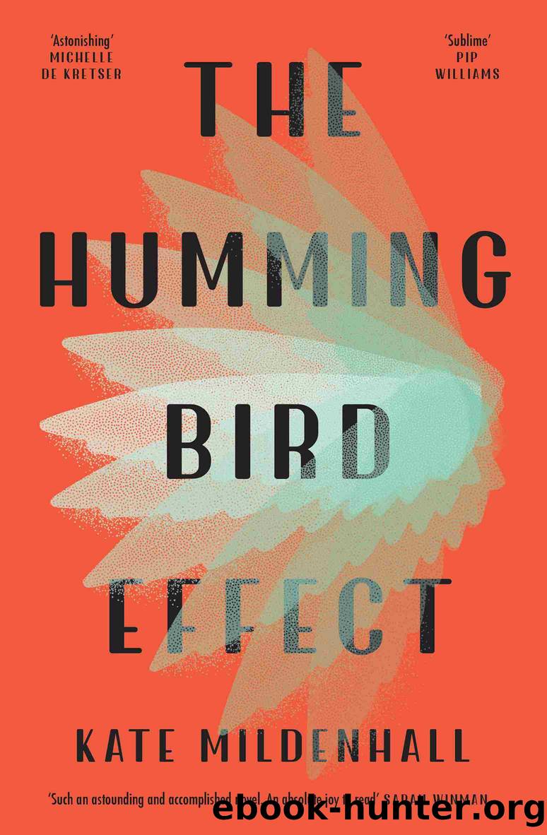 The Hummingbird Effect by Kate Mildenhall