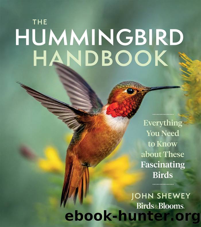 The Hummingbird Handbook by John Shewey