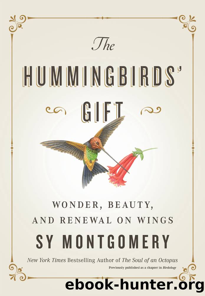 The Hummingbirds' Gift by Sy Montgomery