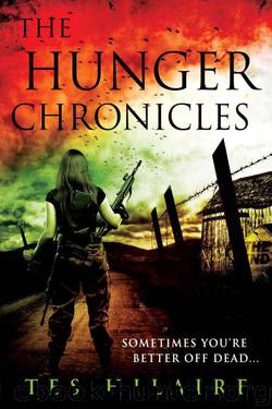 The Hunger Chronicles: A collection of shorts by Hilaire Tes