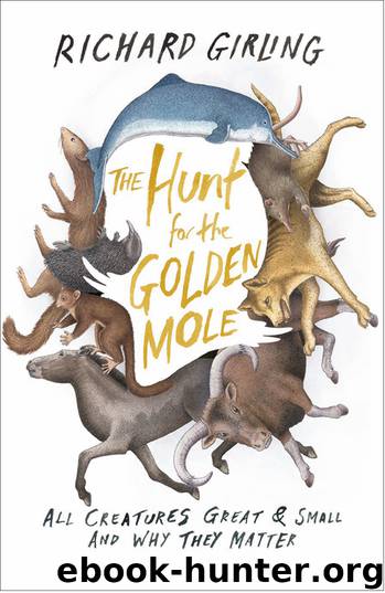 The Hunt for the Golden Mole by Richard Girling