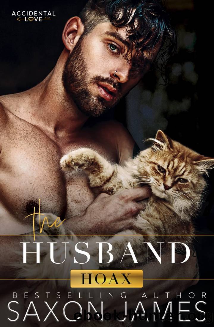 The Husband Hoax (Accidental Love Book 1) by Saxon James