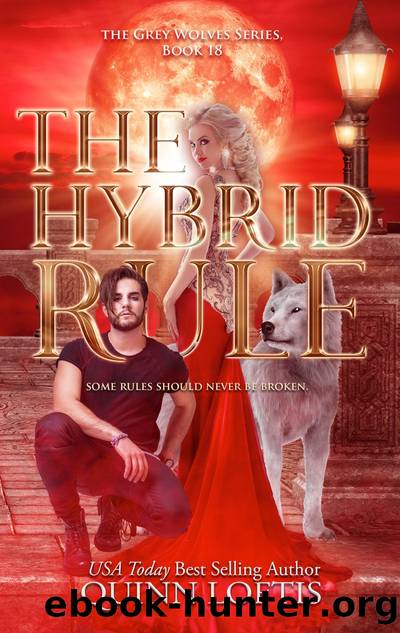 The Hybrid Rule by Quinn Loftis