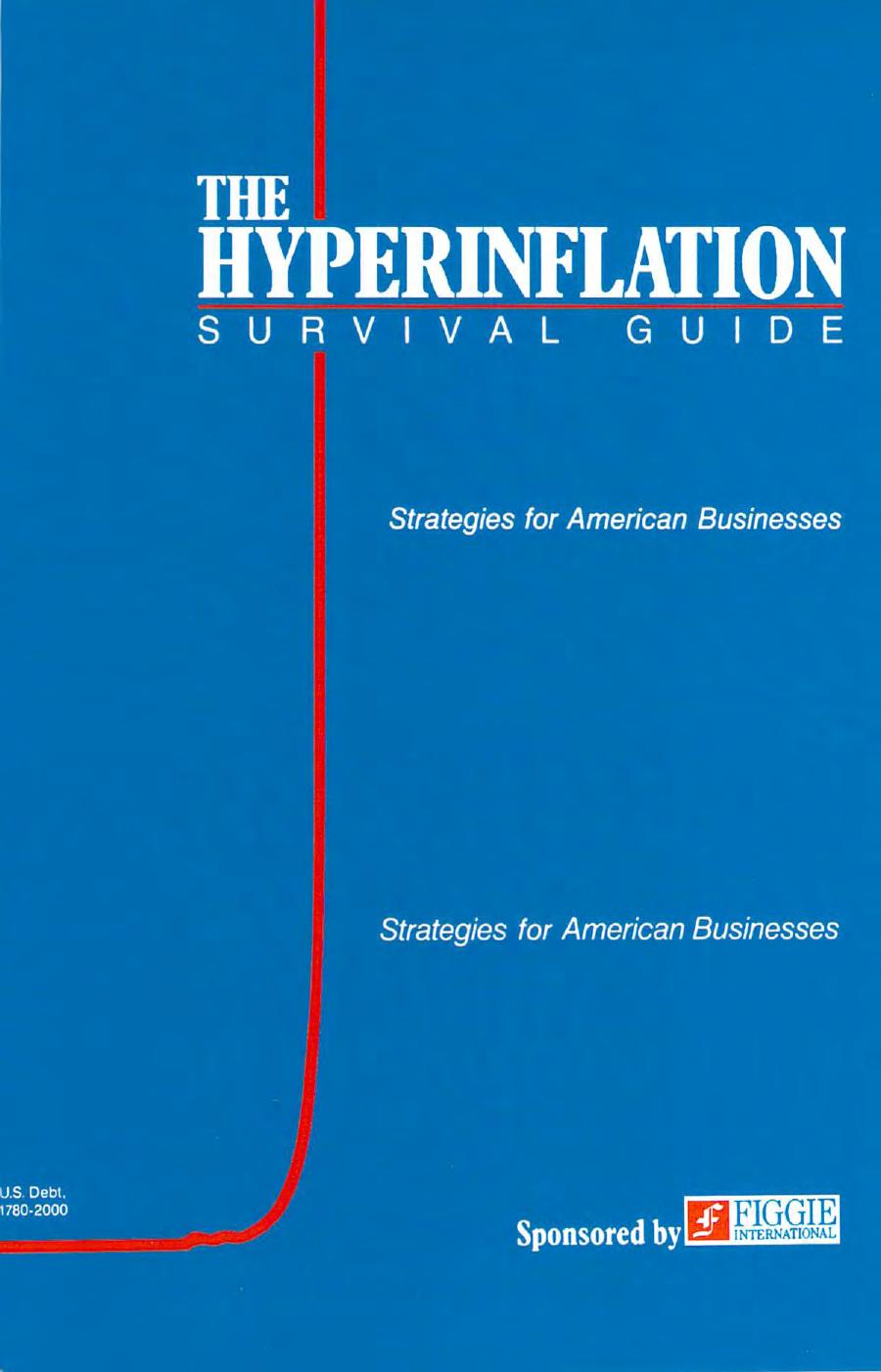 The Hyperinflation Survival Guide: Strategies for American Businesses by Gerald Swanson