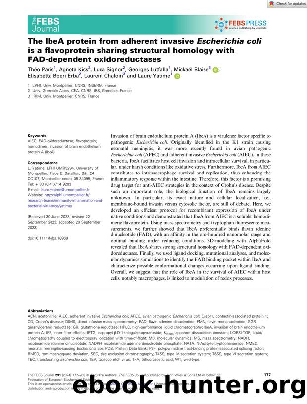 The IbeA protein from adherent invasive Escherichia coli isÂ a flavoprotein sharing structural homology with FADâdependent oxidoreductases by Unknown
