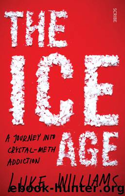 The Ice Age by Luke Williams