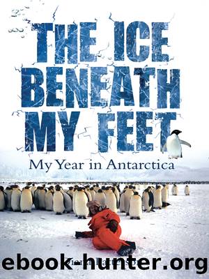 The Ice Beneath My Feet by Diana Patterson