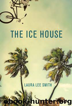 The Ice House by Laura Lee Smith