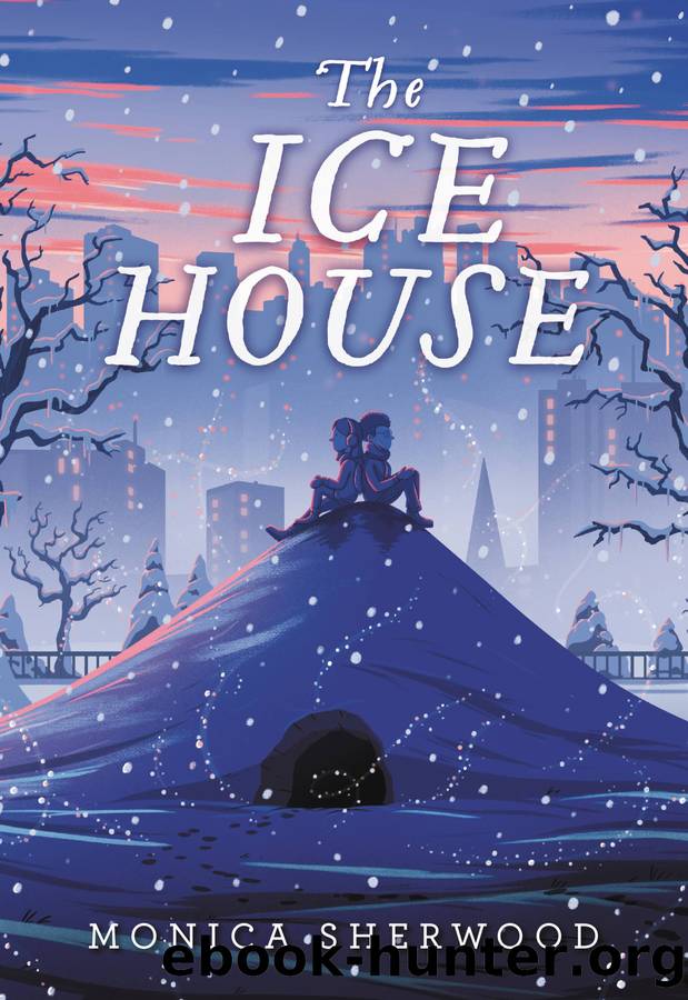 The Ice House by Monica Sherwood