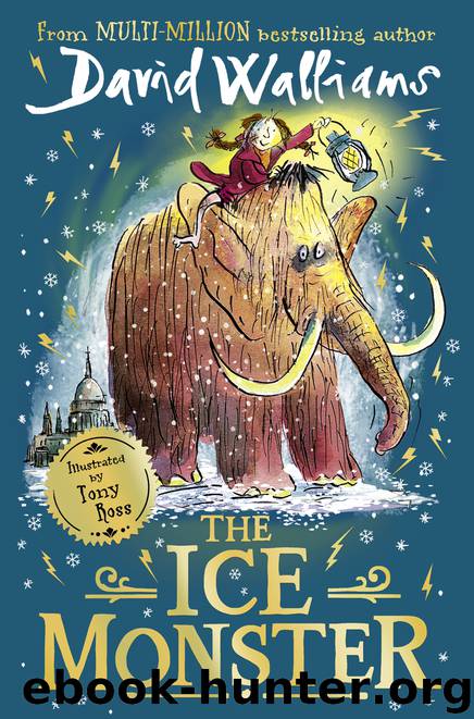 The Ice Monster by David Walliams
