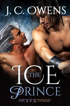 The Ice Prince by J C Owens