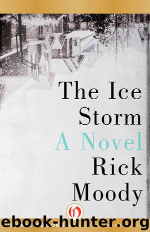 The Ice Storm by Rick Moody