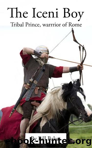 The Iceni Boy: Tribal Prince, Warrior of Rome by Baker Bill
