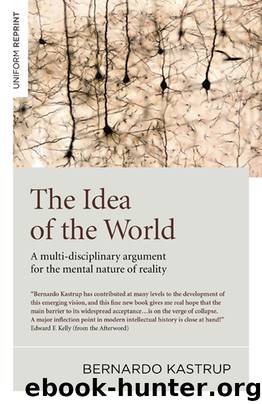 The Idea of the World by Bernardo Kastrup
