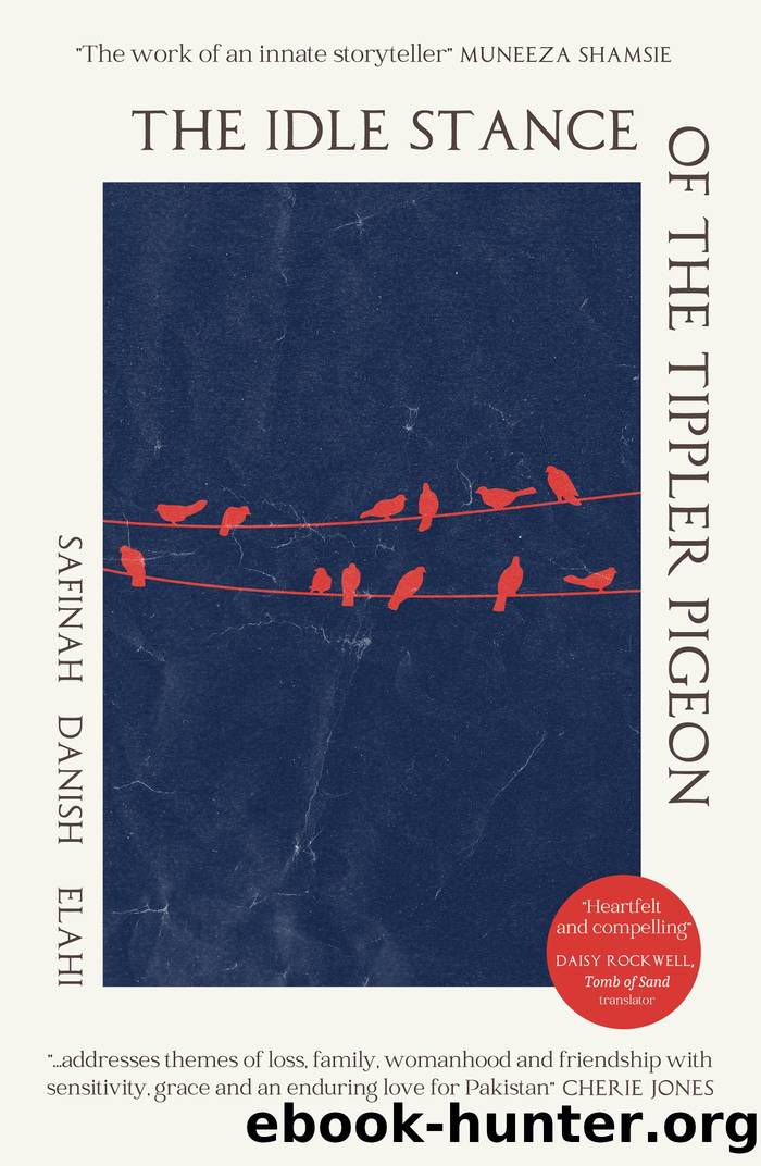 The Idle Stance of the Tippler Pigeon by Safinah Danish Elahi