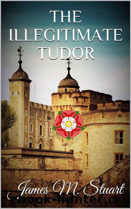 The Illegitimate Tudor by James M. Stuart