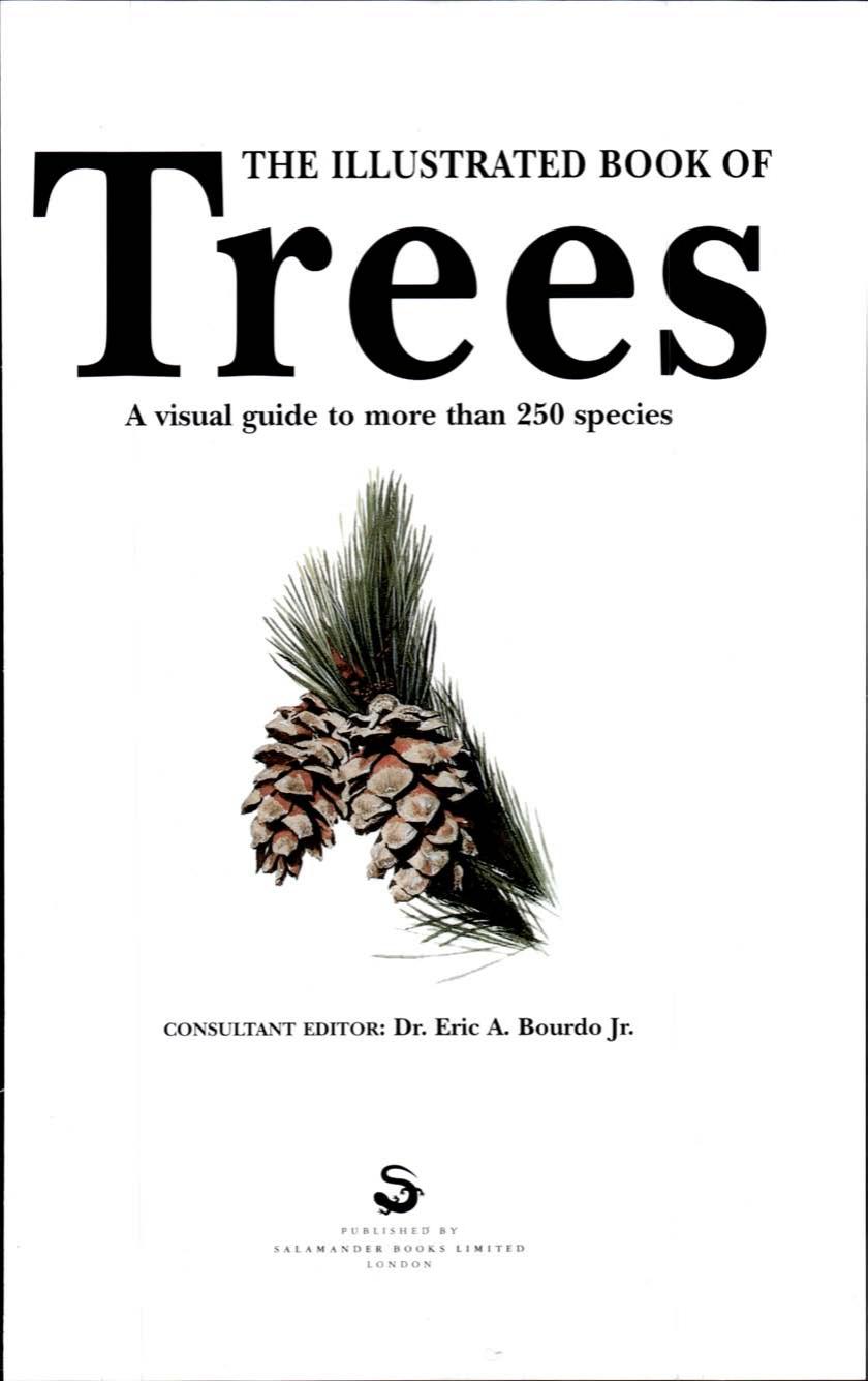 The Illustrated Book of Trees by Eric A. Bourdo Eric A. Bourdo