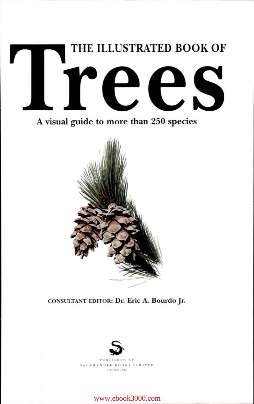 The Illustrated Book of Trees by Unknow