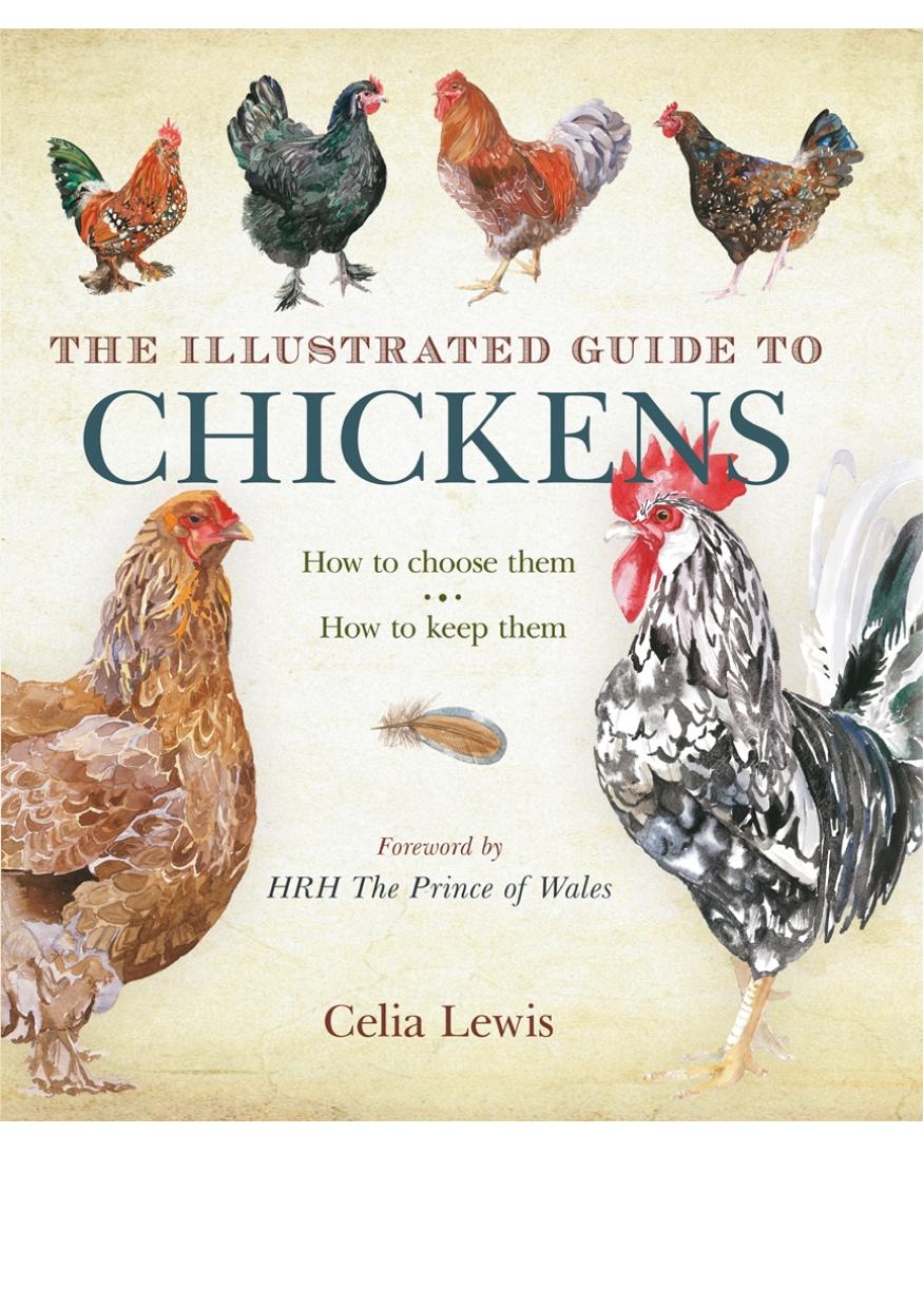 The Illustrated Guide to Chickens by Lewis Celia