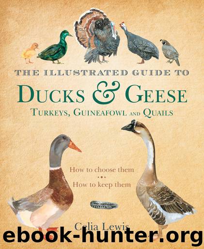 The Illustrated Guide to Ducks and Geese and Other Domestic Fowl by Celia Lewis