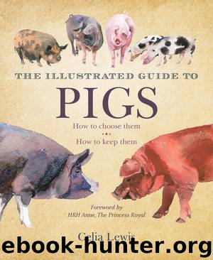 The Illustrated Guide to Pigs by Celia Lewis