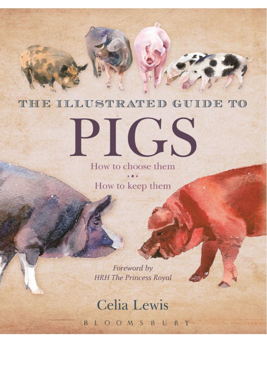 The Illustrated Guide to Pigs: How to Choose Them â How to Keep Them by Celia Lewis