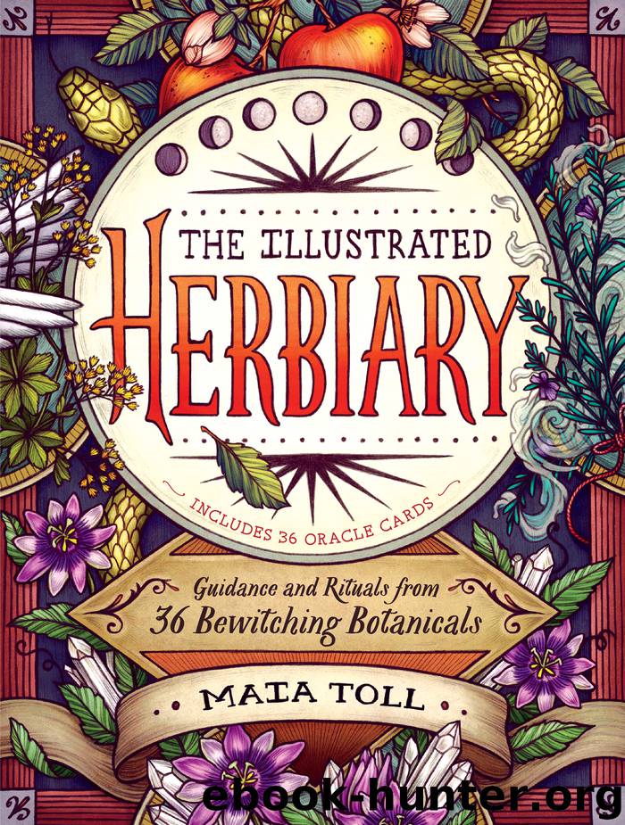 The Illustrated Herbiary by Maia Toll