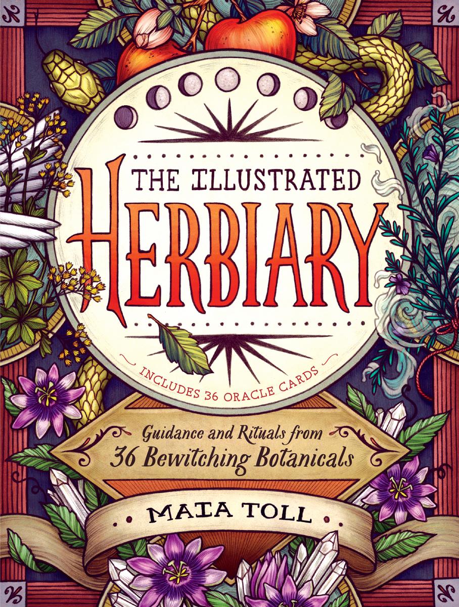 The Illustrated Herbiary: Guidance and Rituals from 36 Bewitching Botanicals by Maia Toll
