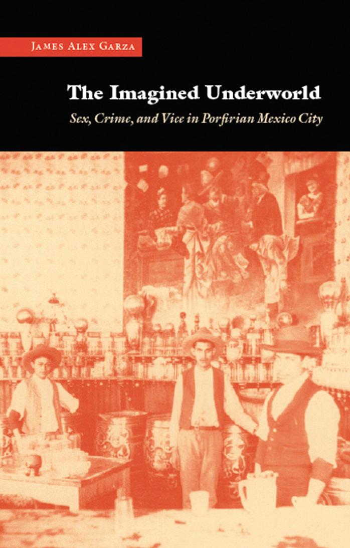 The Imagined Underworld: Sex, Crime, and Vice in Porfirian Mexico City by James Alex Garza
