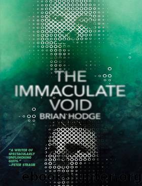 The Immaculate Void by Brian Hodge