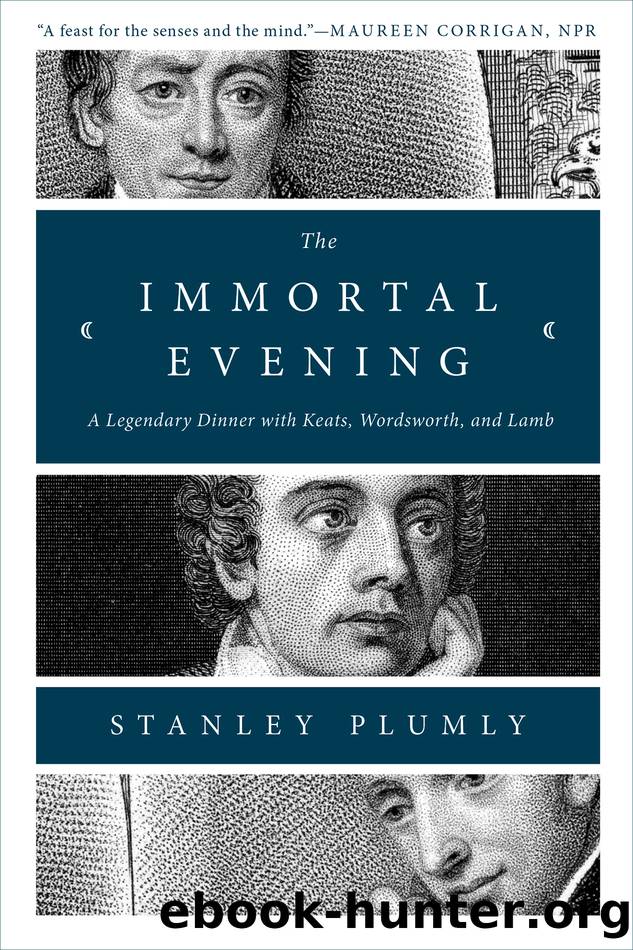 The Immortal Evening by Stanley Plumly