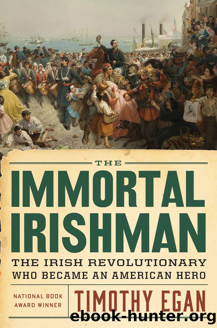 The Immortal Irishman: The Irish Revolutionary Who Became an American Hero by Egan Timothy