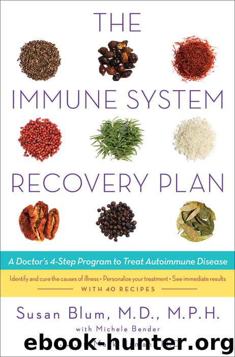The Immune System Recovery Plan: A Doctor's 4-Step Program to Treat Autoimmune Disease by Susan Blum & Mark Hyman & Michele Bender