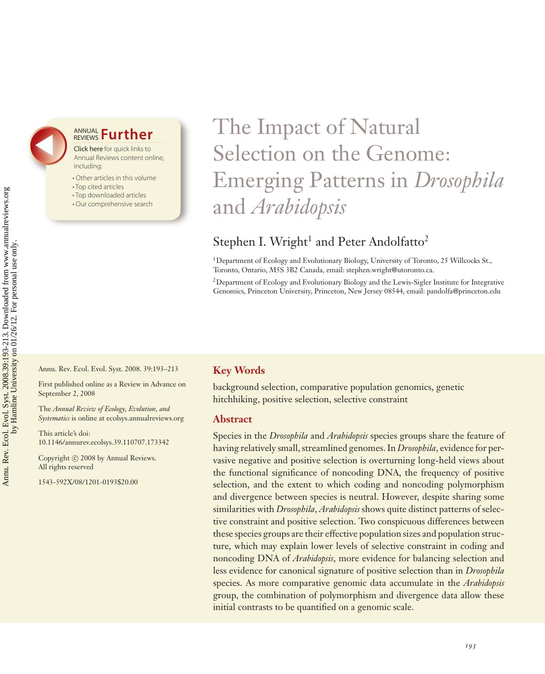 The Impact of Natural Selection on the Genome: Emerging Patterns in Drosophila and Arabidopsis by Stephen I. Wright1 & Peter Andolfatto2