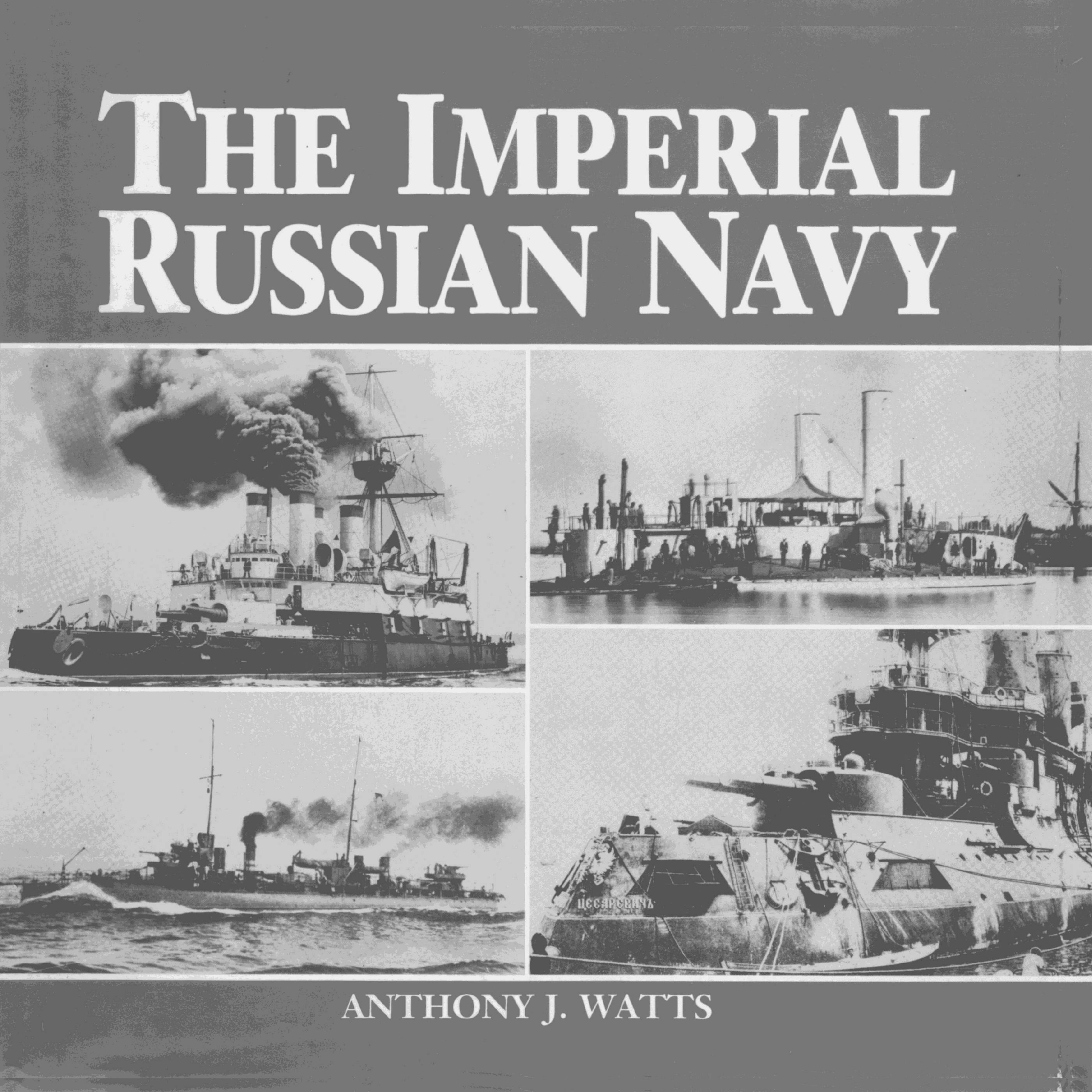 The Imperial Russian Navy by Unknow