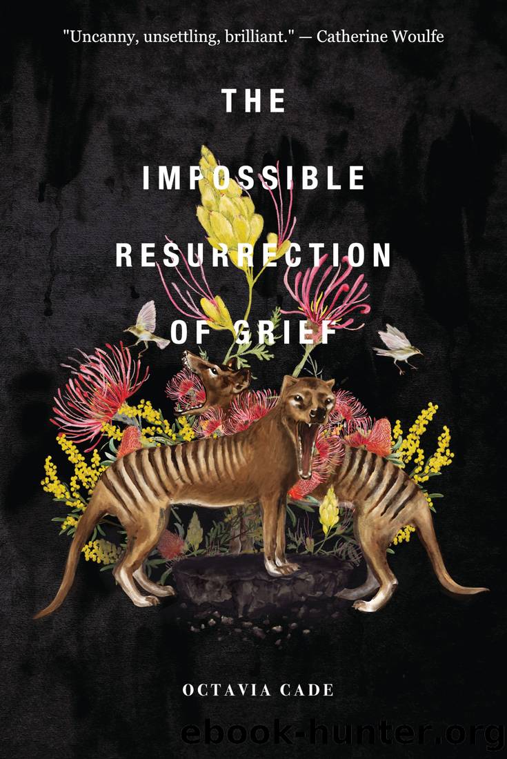 The Impossible Resurrection of Grief by Octavia Cade