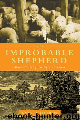 The Improbable Shepherd by Sylvia Jorrin