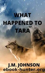 The Incident | Book 2 | What Happened To Tara by Johnson J.M