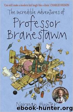 The Incredible Adventures of Professor Branestawm by Norman Hunter