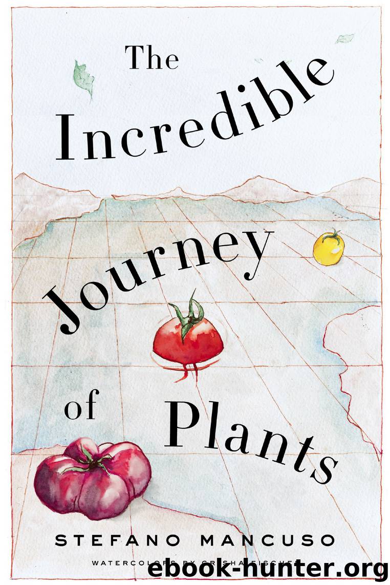 The Incredible Journey of Plants by Stefano Mancuso