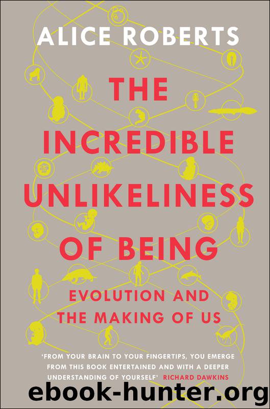 The Incredible Unlikeliness of Being by Alice Roberts