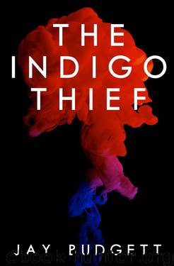 The Indigo Thief by Budgett Jay